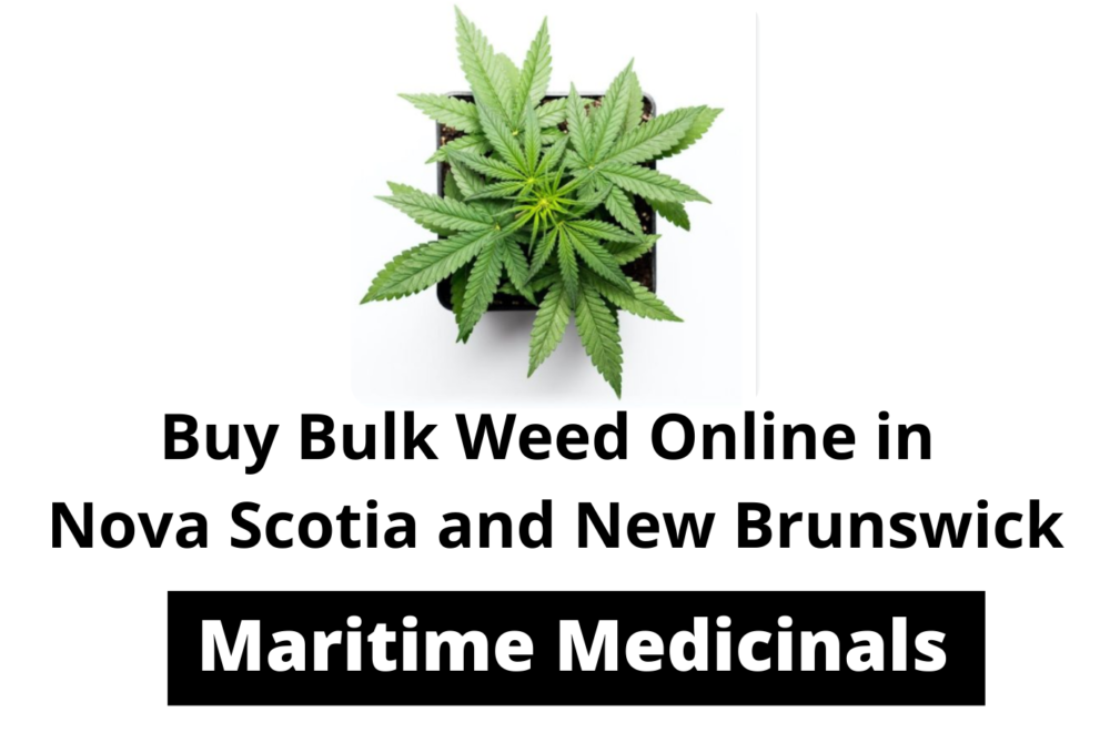 Buy Bulk Weed Online in Nova Scotia and New Brunswick